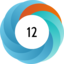 Altmetric score 12