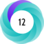 Altmetric score 12