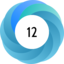 Altmetric score 12