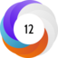 Altmetric score 12