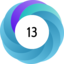 Altmetric score 13