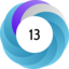Article has an altmetric score of 13