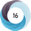 Article has an altmetric score of 16