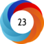 Altmetric score 23