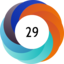 Altmetric score 29