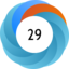 Altmetric score 29
