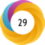 Altmetric score 29