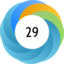 Altmetric score 29