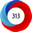 Score 313