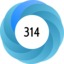 Score 314