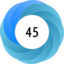 Altmetric Attention Score: 45