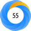 Altmetric Attention Score: 55