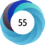 Altmetric score 55