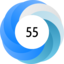 Altmetric Attention Score: 55