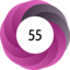Article has an altmetric score of 55