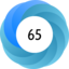 Altmetric Attention Score: 65