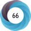 Article has an altmetric score of 66