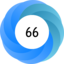 Score 66